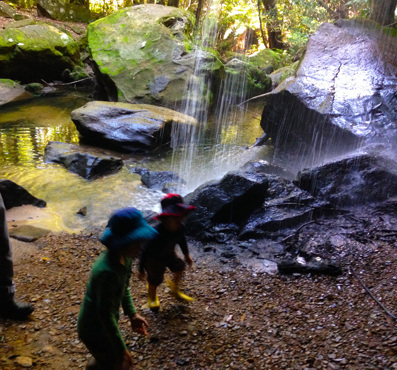 Waterfall walk only a stone’s throw - blog post image